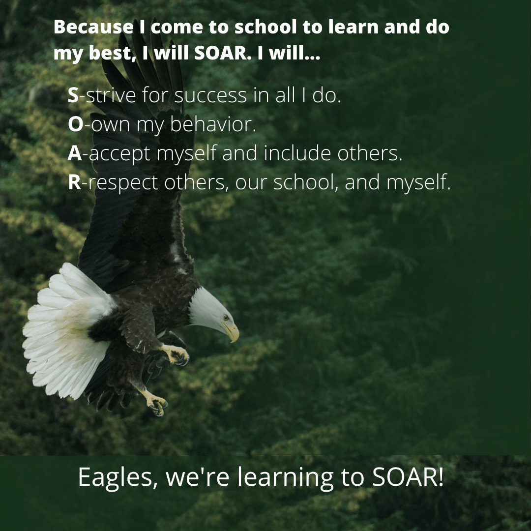 THe HBES SOAR Pledge